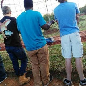 Meet your Posher, Ion